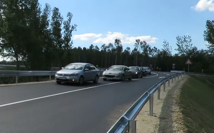 'Zapeli' su na kružnom toku: Robert spasio labuđu obitelj