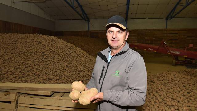 Luda klima: U cijeloj EU ove je godine upola manje krumpira