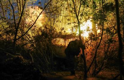 UŽIVO Trump planira uvođenje novih sankcija Rusiji?  Moskva: Srušeno 99 ukrajinskih dronova