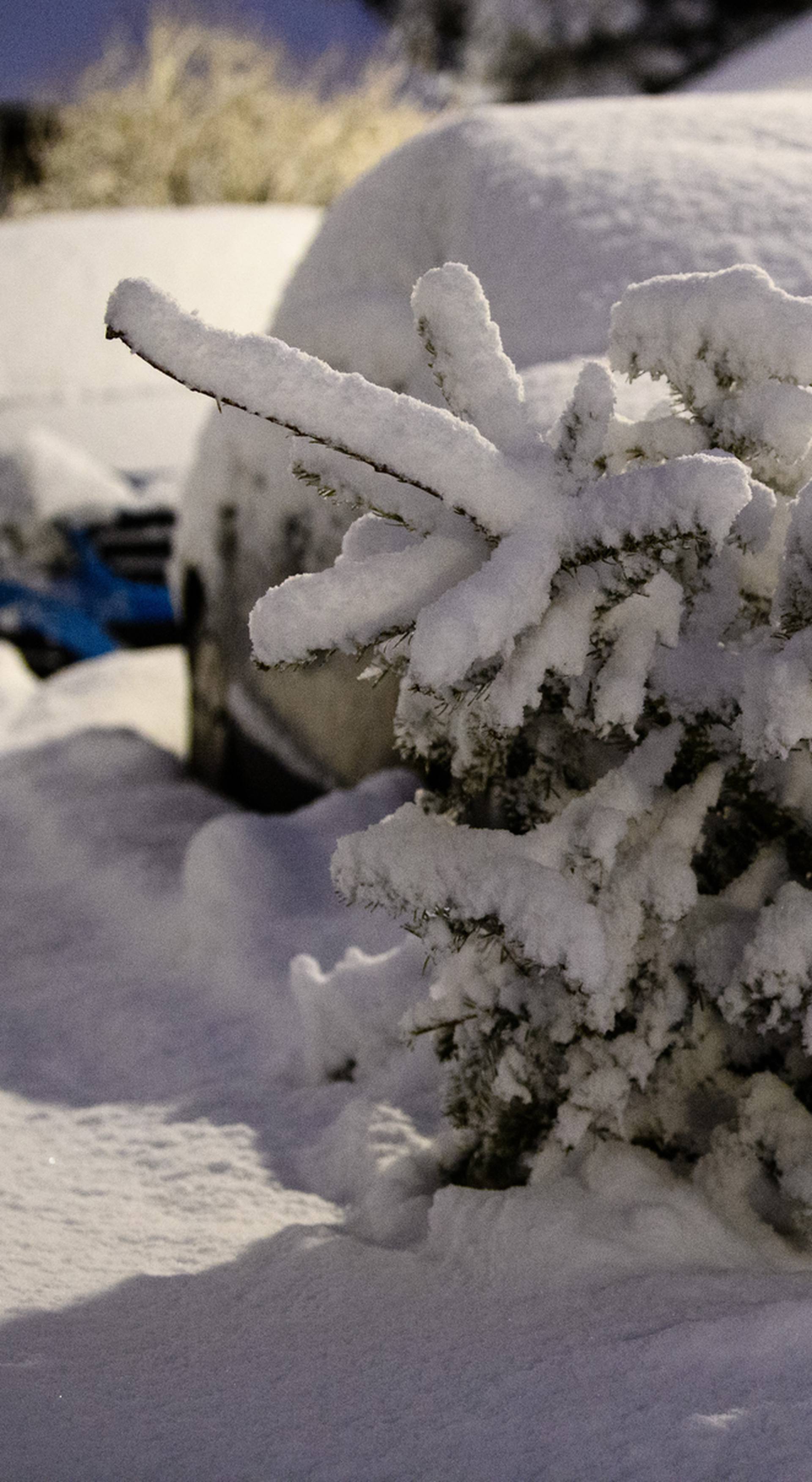 Winter in Bavaria