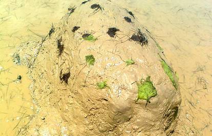 Trebalo im je dva dana: Djeca su napravila kornjaču od blata