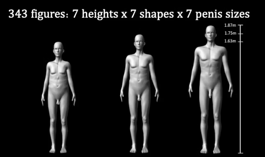 Veličina ljudskog penisa razvila se iz dva razloga - privlačenja partnerica i zastrašivanja!?!