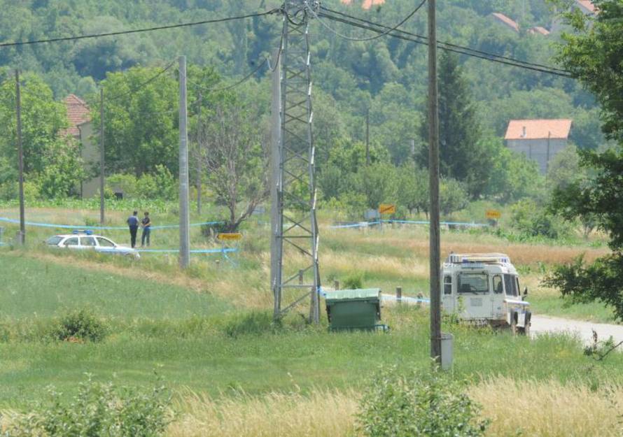 Hrvoje Jelavić/PIXSELL