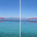 VIDEO Zaigrani dupini kod Trpnja: 'Bili su udaljeni 100 metara od obale, prekrasno'