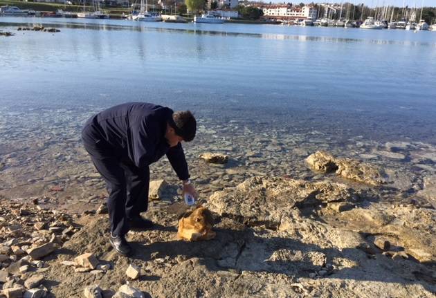 Šok na plaži kod Poreča: Našli mrtvog psića svezanog u vreći