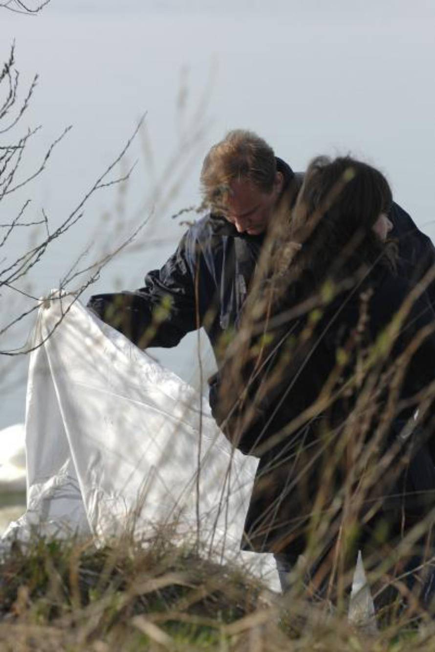 Vjeran Žganec-Rogulja