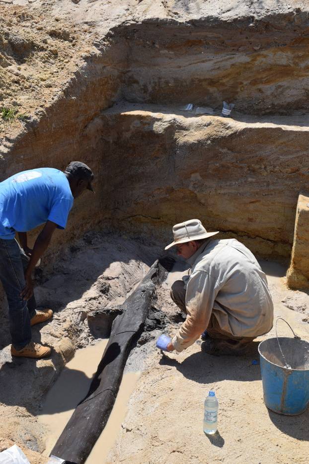 Researchers uncover wooden artefacts on the banks of the Kalambo River in Zambia