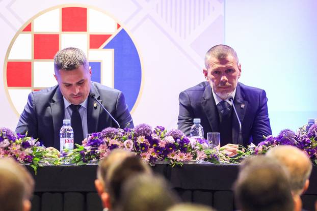 Zagreb: Redovna sjednica Skup&scaron;tine GNK Dinamo