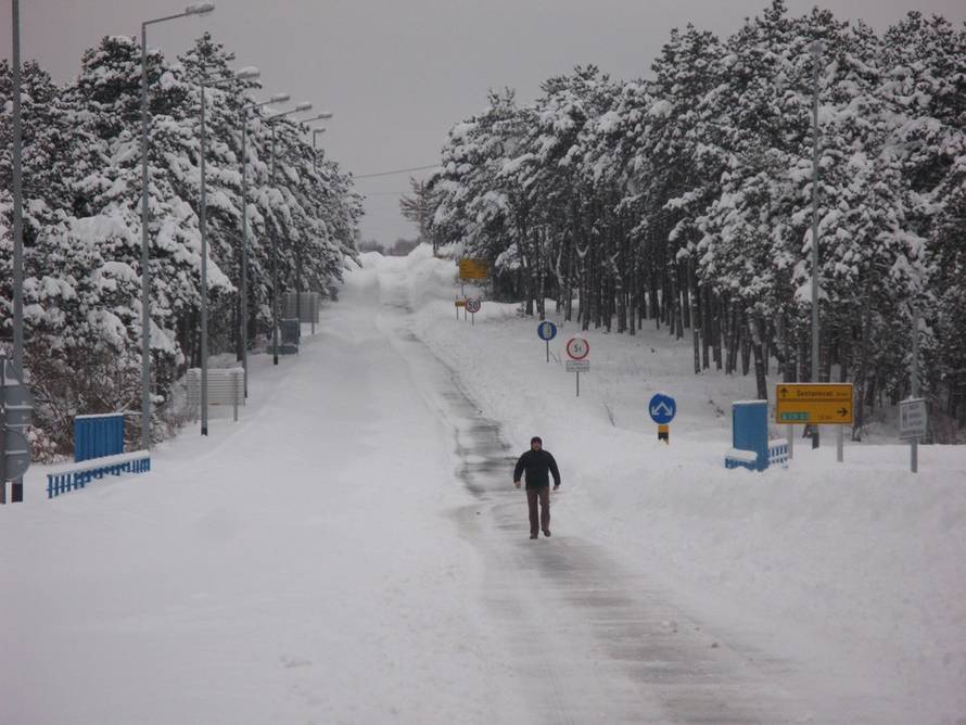 Vedrana Bekavac Šuvar