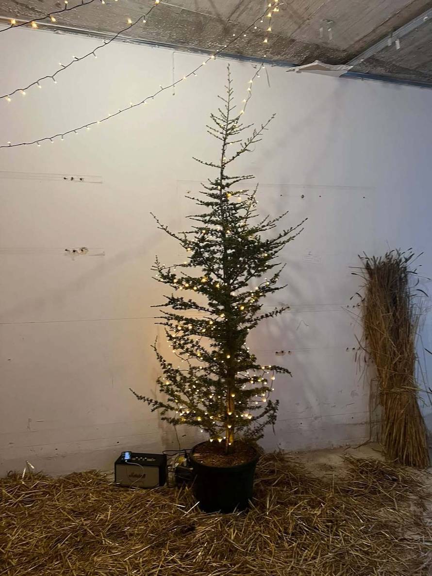 DOZNAJEMO Severina je otkrila gdje seli: Ovo su obrisi novog doma, tamo već odvela i majku