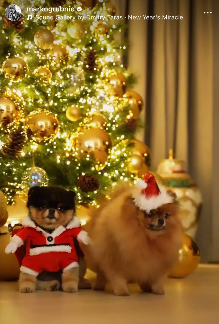 Grubnić pokazao raskošni dom uoči blagdana: 'Božić dolazi!'