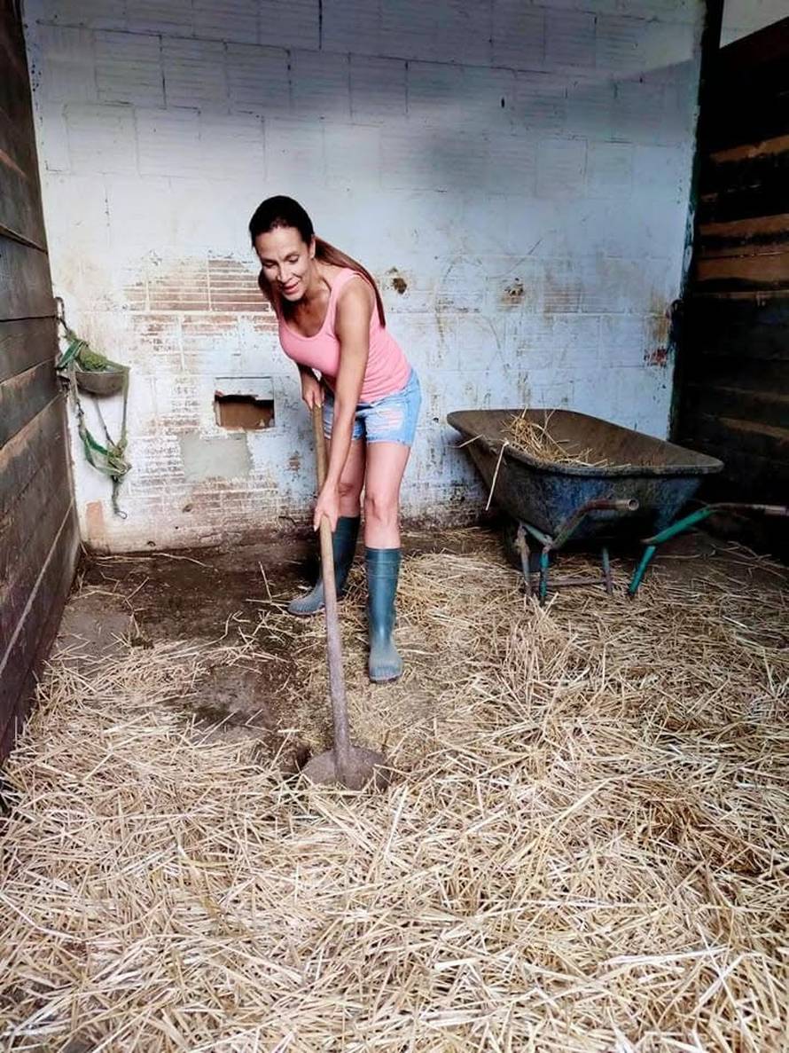 Slavni Hrvati koji su pobjegli na selo: Slavko Sobin sadi povrće, a Dušan Bućan se bavi konjima