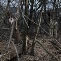 Rusija pokrenula val napada nakon što je Ukrajina osigurala tenkove, 11 ljudi poginulo