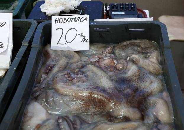 Šibenik:Bogata ponuda ribe na sibenskoj ribarnici.