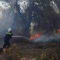 Veliki požari diljem Grčke, temperature danas oko 40 °C