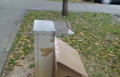 Običnom kartonskom kutijom spasio život uličnim mačkama