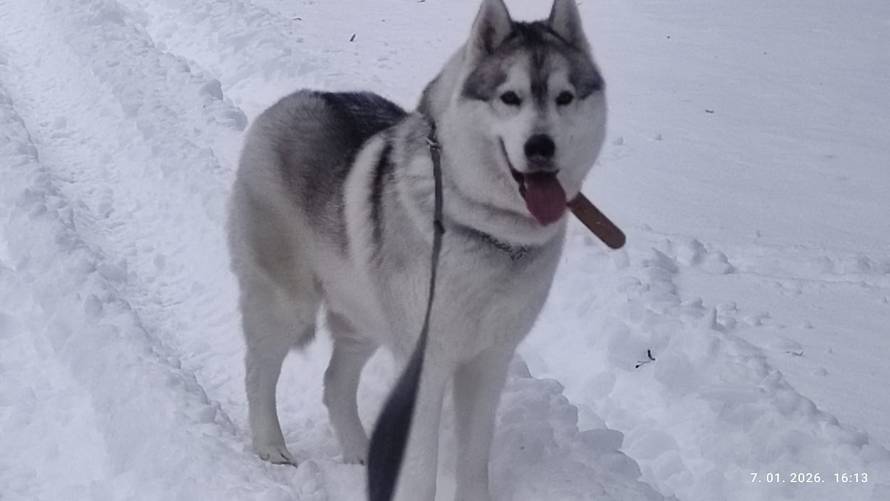 Općinska komunalka sama 'izlopatala' snijeg sa staze: 'Nema nikakve drame u tome'