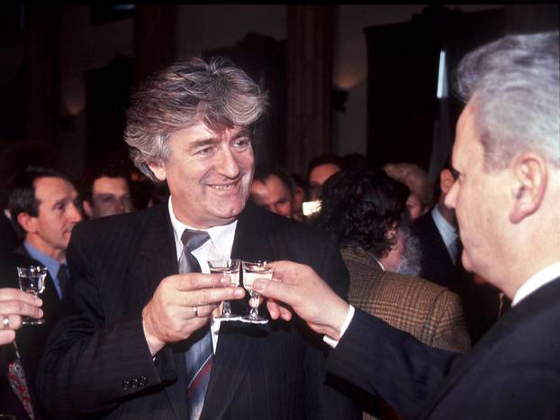 Serbian judge orders Karadzic to UN tribunal