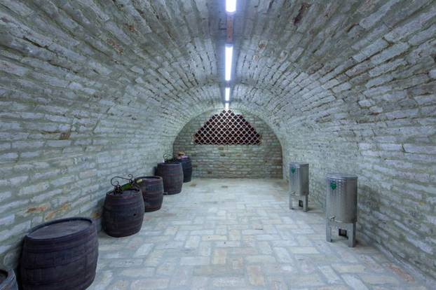 FOTO Vile na moru koštaju po nekoliko milijuna, a u Baranji za pola milijuna € dobijete hotel!