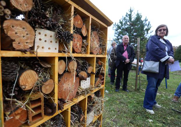 Postavljen je prvi karlovački hotel za pčele koji su izradili učenici Šumarske škole