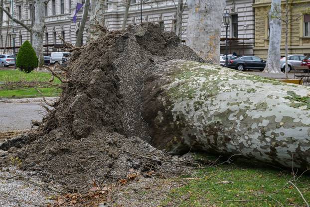 Zagreb: Posljedice nevremena na Zrinjevcu