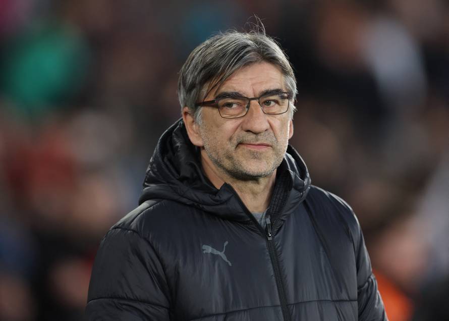 Premier League - Southampton v Crystal Palace