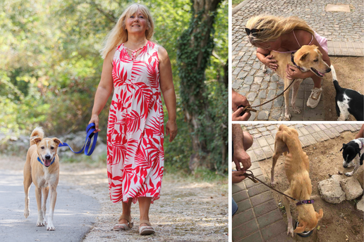 Nestvarna ljubav Tatjane i psa: 'Spasila sam ga iz Afrike, bio je na rubu smrti, sad sa mnom...'