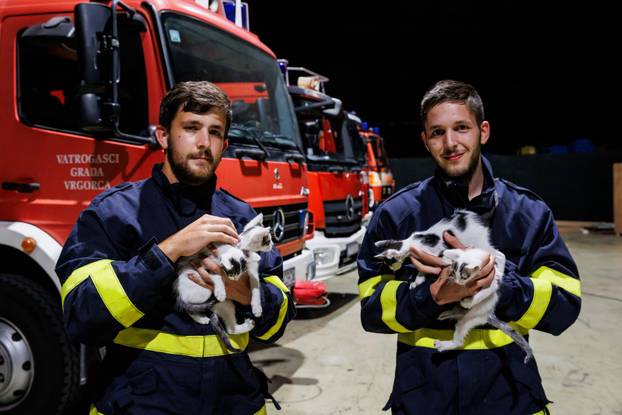 Vrgorac: Vatrogasci spasili 4 mačiča iz šahta gdje su ih pronašli ostavljene