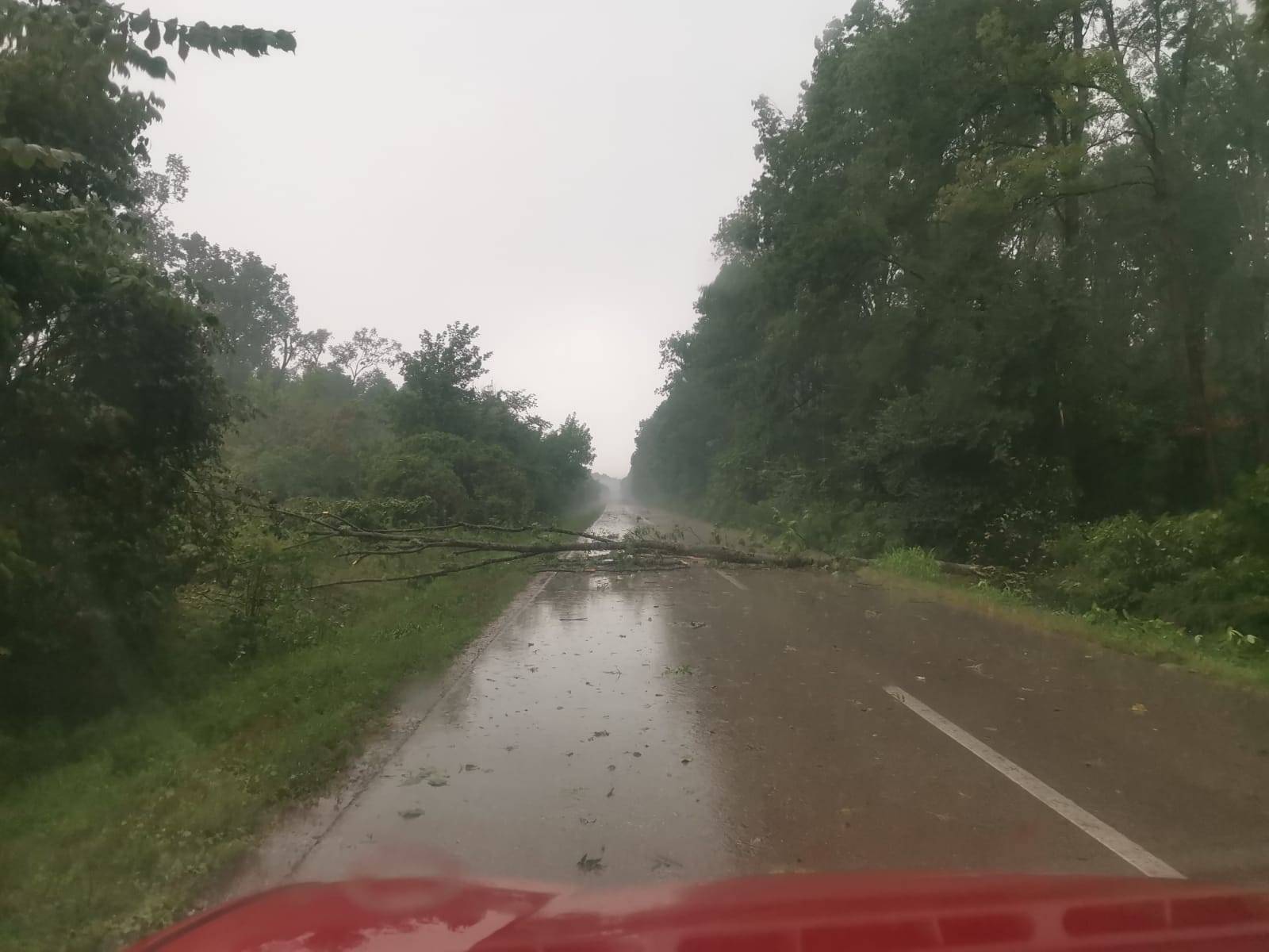 VIDEO 'Bilo je nemoguće voziti, auti su stali nasred autoceste, a munje su sijevale do Sv. Roka'