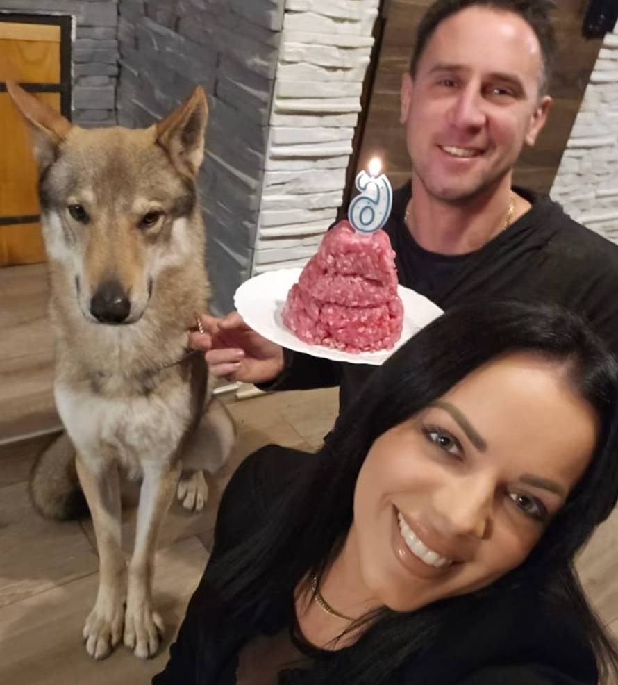 Očajni vlasnici: Naš Aki nestao je kod Rijeke. Nudimo 10.000 €