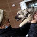 Poljski veterinar spasio 260 pasa i mačaka iz Ukrajine