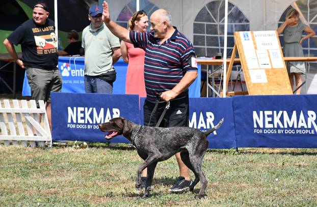 Požega: Nacionalna izložba pasa "CAC Požega 2024."