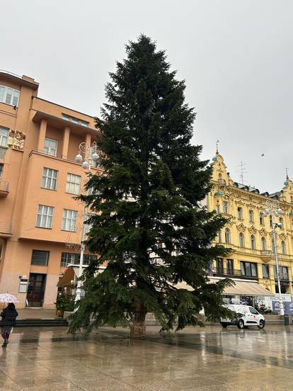 FOTO Stigao bor na Trg Josipa bana Jelačića: Diljem Zagreba postavili čak 81 božićno drvce