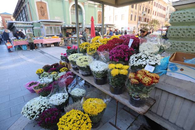 Rijeka: Prodaja krizantema uoči blagdana Svih svetih