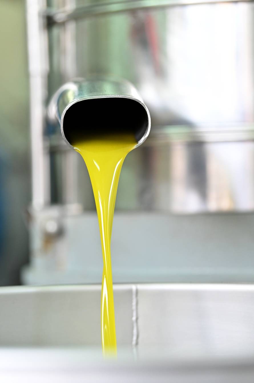 Proces proizvodnje maslinovog ulja u uljarskoj zadruzi Igrane