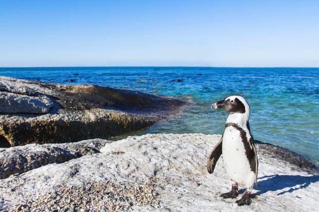FOTO Nije umjetna inteligencija! Najnevjerojatnije plaže svijeta