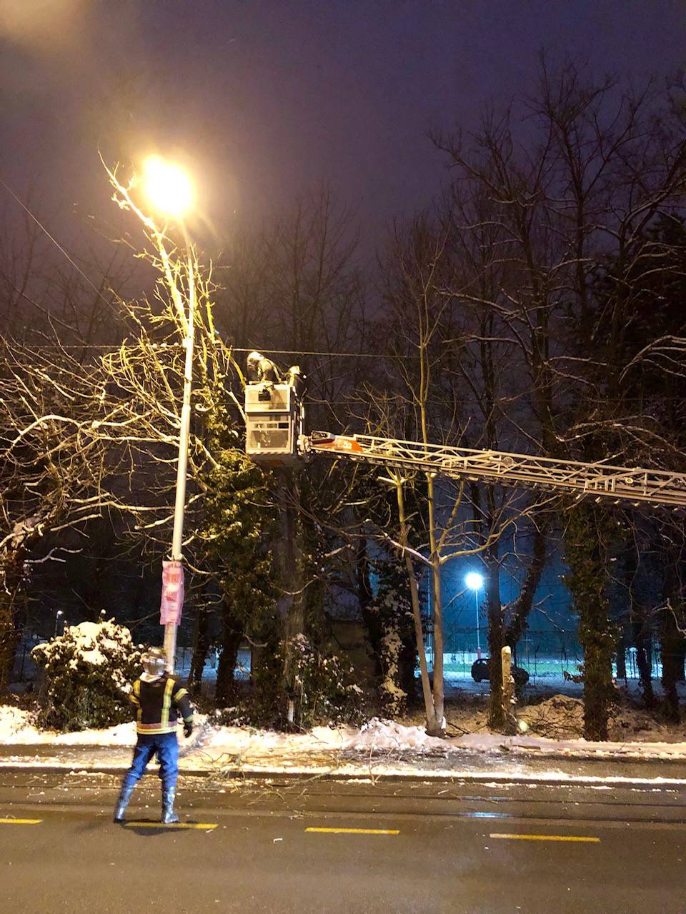 Zastoj u Maksimirskoj:  Stablo se nagnulo, tramvaji nisu vozili