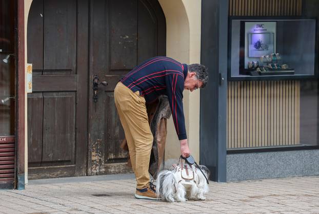 Zagreb: Pas poput modne torbice