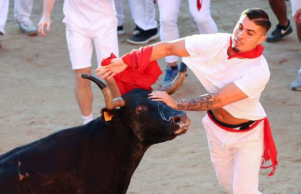 A reveller tryes to escape from a wild cow at the bullring