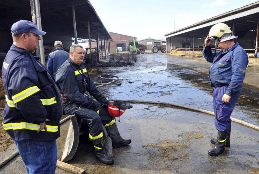 Goran Fabrežar/PIXSELL