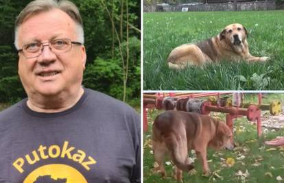 VIDEO Nakon sprovoda Halidov pas ima tužne oči i odbija jesti: Prolaznici su mu nudili hranu