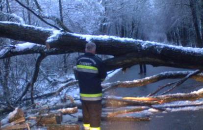Snijeg je rušio velika stabla na prometnice pokraj Čakovca