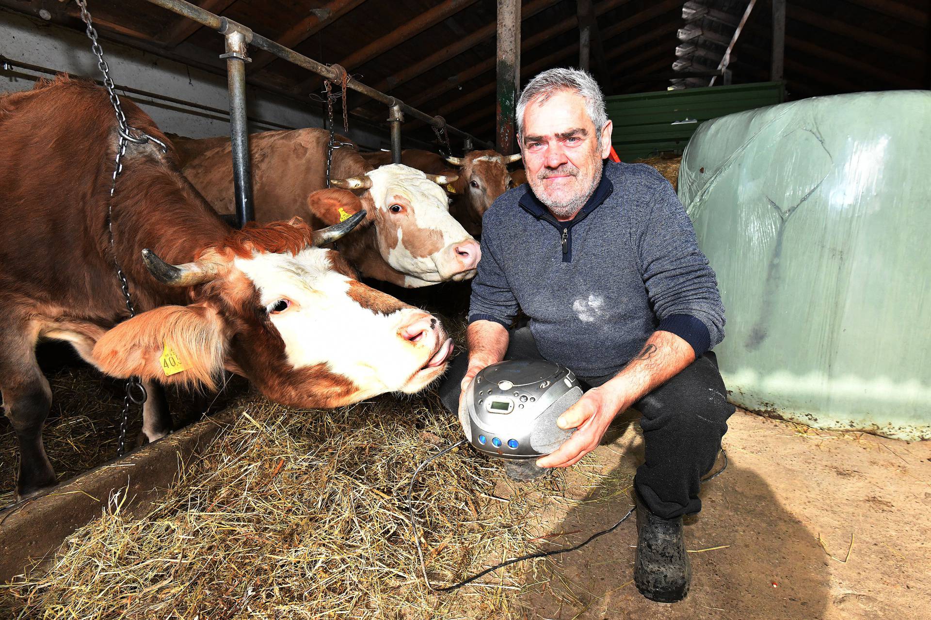 Obitelj iz Ludbrega: 'Sve naše kravice okidaju na Seve i Rozgu'