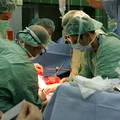 RH u 2011. prva u svijetu po broju transplantacija bubrega