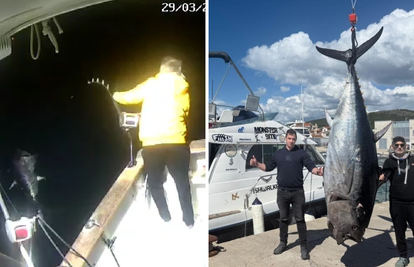 VIDEO Nevjerojatno! Kod Dugog otoka opet je ulovio tunu kapitalku: 'Ima čak 300 kila'