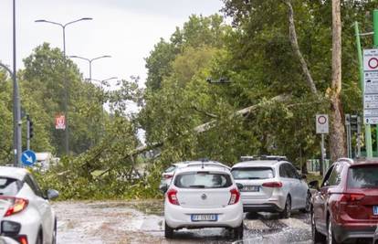 Užas u Italiji! Nevrijeme rušilo stabla: Žena poginula tijekom vožnje, više ljudi je ozlijeđeno