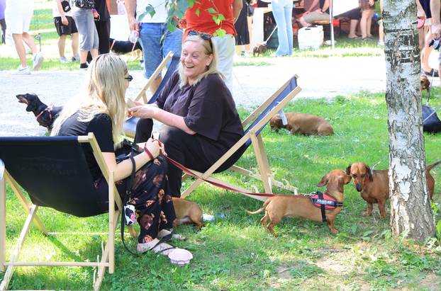 Zagreb: Međunarodni festival pasa jazavčara JAZOfest