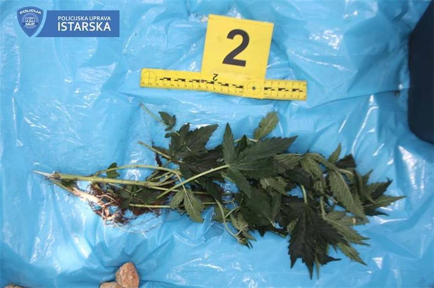 Pretjecao preko pune crte, a u autu našli posude s drogom