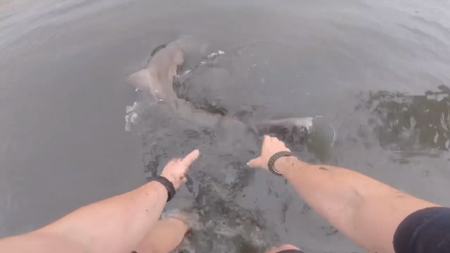 Golim rukama je spasio morske pse: 'Morao sam im pomoći...'