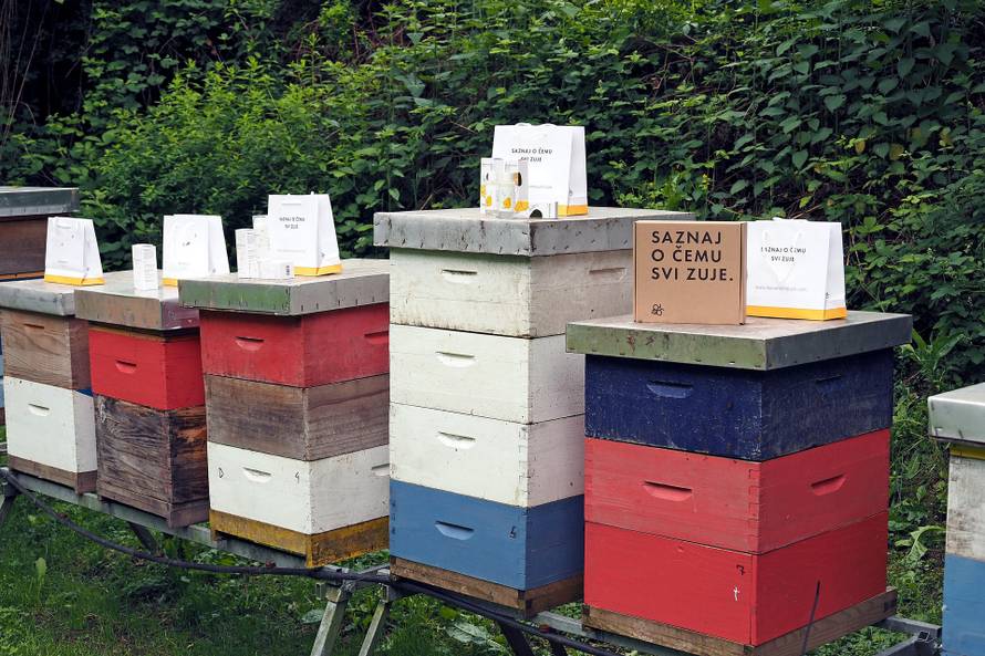 Od otrova mojih pčela radim kreme protiv bora i bolova